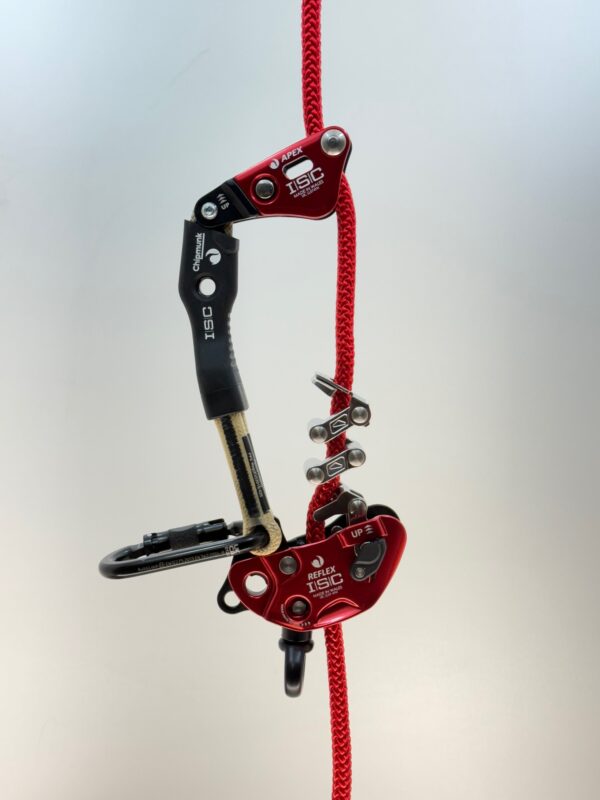 ISC Reflex | Monkey Beaver