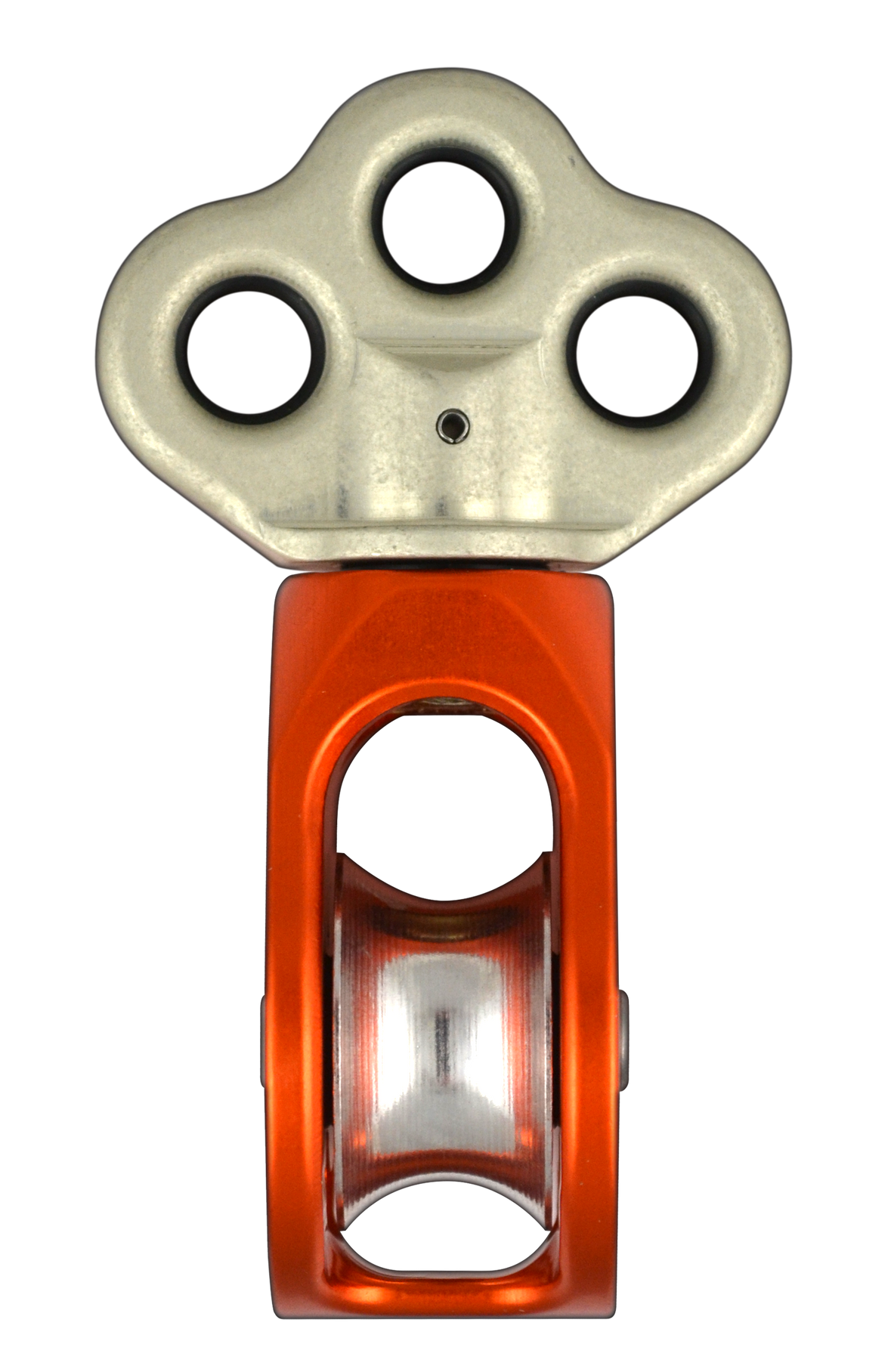 Hydra - Image 2