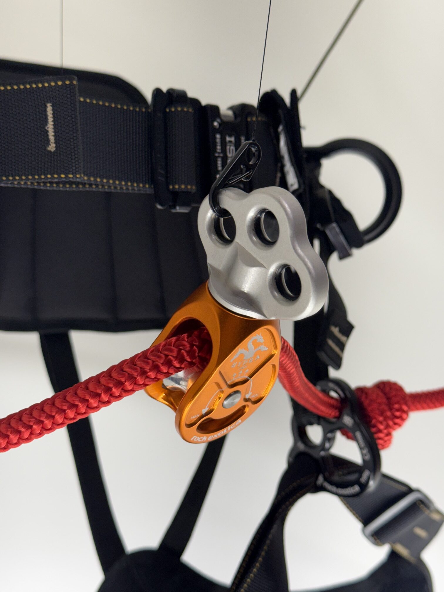 Hydra - Image 4
